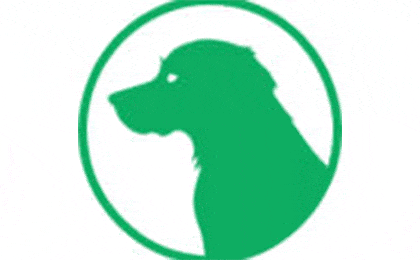 FirmenlogoHUNDESCHULE WAIDSICHT Kappeln