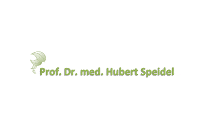 FirmenlogoSpeidel Hubert Prof. Dr.med. Facharzt für Psychotherapie Kiel