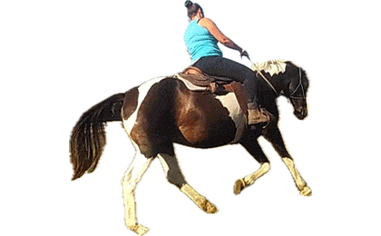 FirmenlogoFair Zum Pferd - Die Tüddelponys Lebrade