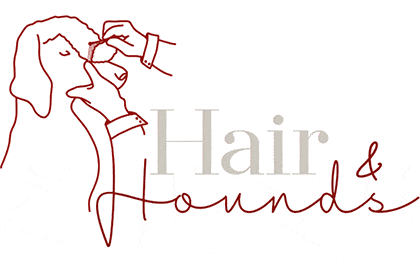 FirmenlogoHair and Hounds - der Groomer in Mölln Mölln