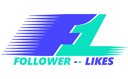 FirmenlogoFollower-Likes Social Media Agentur Neubrandenburg