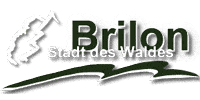 FirmenlogoStadt Brilon Brilon