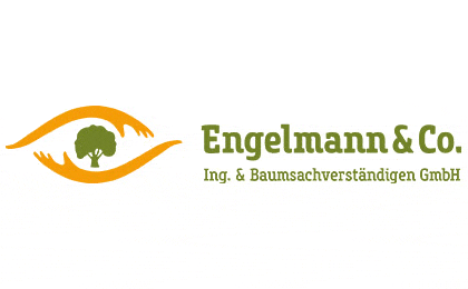 FirmenlogoEngelmann & Co. Ingeniuer und Baumsachverständigen GmbH Dipl.-Ing.(FH) Daniel Engelmann Bremen