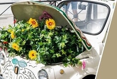 Bildergallerie BlackBox Classic Parts GmbH Wees