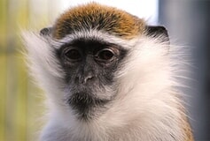 Eigentümer Bilder Tierschutzzentrum Weidefeld Kappeln