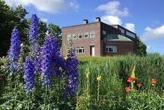 Bildergallerie Nolde Museum Seebüll Neukirchen