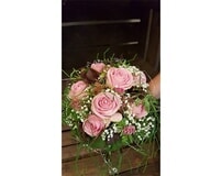Eigentümer Bilder Blumen Wohlers Inh. Kathrin Schöning Flintbek