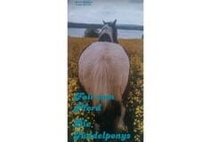 Bildergallerie Fair Zum Pferd - Die Tüddelponys Lebrade