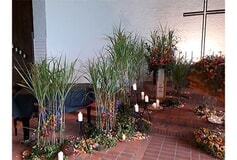 Bildergallerie Bestattungsinstitut Hahnheide Trittau