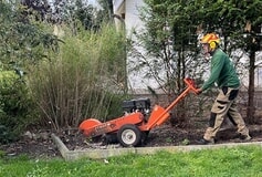 Eigentümer Bilder Doktor Astrein Baumpflege Großenaspe