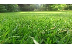 Eigentümer Bilder LUWA Gartenbau Krummesse