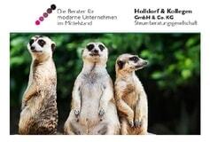 Bildergallerie Holldorf & Kollegen GmbH & Co. KG Steuerberatung Steuerberatungsgesellschaft Bad Oldesloe