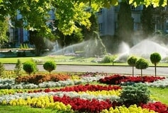 Bildergallerie Bardtke Gebäude-Service Büro- u. Glasreinigung / Garten- u. Landschaftsbau Kölln-Reisiek