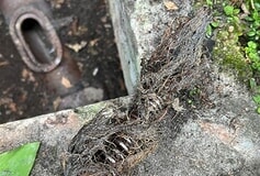 Bildergallerie Sanitär & Rohr Profi Service Horst (Holstein)