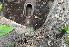 Bildergallerie Sanitär & Rohr Profi Service Horst (Holstein)