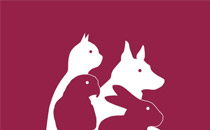 Logo Nehlsen Dörte Kleintierpraxis, Tierheilpraktiker Seevetal