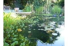 Eigentümer Bilder Jürgensen Kai Gartenbau Garten- und Teichbau Dahlenburg