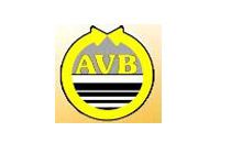 Logo AVB Arbeitskreis Versicherungs- und Finanz-Vermittlung GmbH Versicherungen Finanzberatung Schwerin