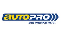 Logo André Fritsch Freie KFZ-Werkstatt Neubrandenburg