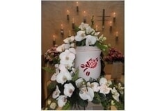 Eigentümer Bilder Blumenhaus Doreen Peter Friedland