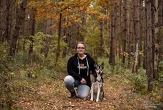 Bildergallerie Martin Rütter Hundeschule Möllenhagen