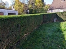 Bildergallerie Ga-Ba Gartenheld Herscheid