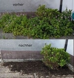 Eigentümer Bilder Ga-Ba Gartenheld Herscheid