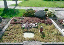 Bildergallerie Redemann Gartenbau Möhnesee