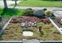 Bildergallerie Redemann Gartenbau Möhnesee