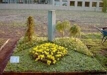 Eigentümer Bilder Redemann Gartenbau Möhnesee