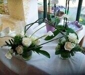 Eigentümer Bilder Redemann Gartenbau Möhnesee