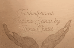Bildergallerie Tierheilpraxis Natura Sanat by Anna Christ Arnsberg