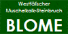 Logo Westf. Muschelkalk-Steinbruch Joh. Blome GmbH & Co. KG Marsberg