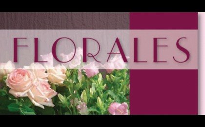Logo Florales Wiebke Gill Blumengeschäft Lübeck