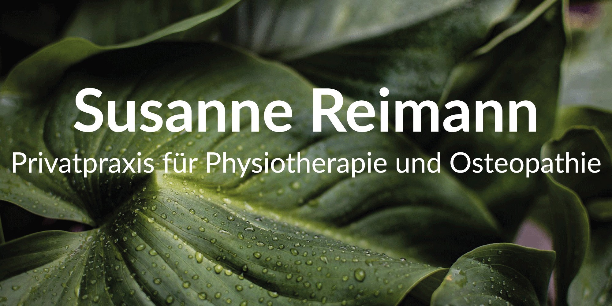 Logo Reimann Susanne Privatpraxis für Physiotherapie u. Osteopathie Lübeck
