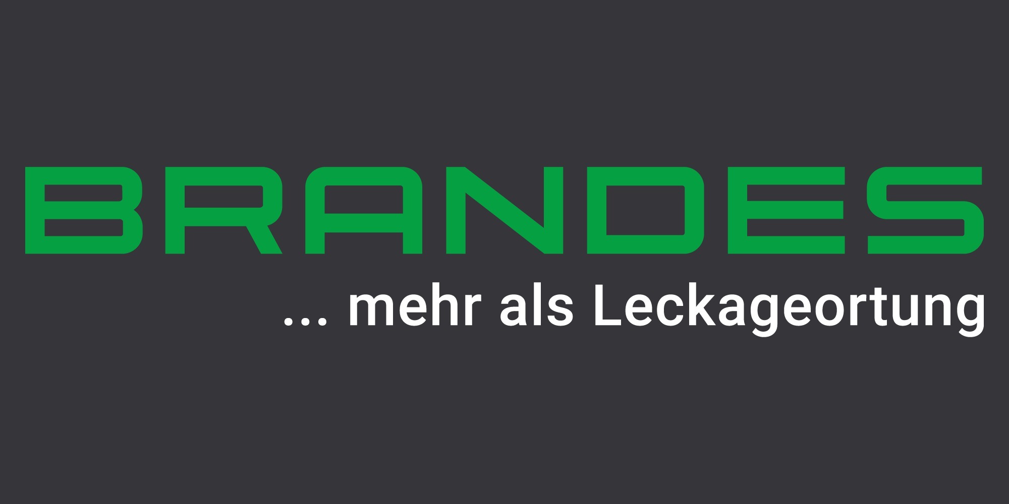Logo Brandes GmbH Eutin