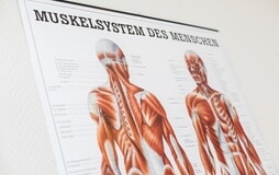 Eigentümer Bilder Praxis für Physiotherapie an der Sonnenkoppel Claudia Barop Neustadt in Holstein