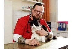 Eigentümer Bilder Wüst Christian Dr. Tierärztliche Praxis für Kleintiere Gladbeck