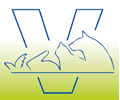Logo Köster, Katrin Kleve