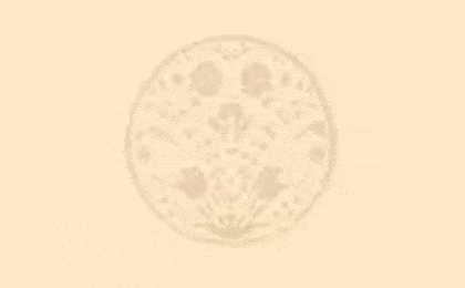 FirmenlogoGoertzen Sabine Heilpraktikerin Bremen
