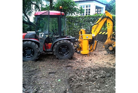 Bildergallerie Osmer Baumfällung, Gartenarbeiten Bremen