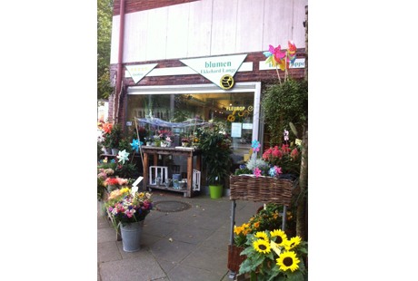 Blumengeschäft Cuxhaven - Über Blumen
