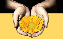 Logo Brailow Sabine Ergotherapie Oldenburg