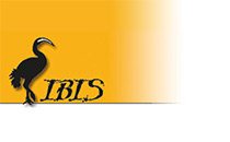 Logo IBIS Interkulturelle Arbeitsstelle e. V. Oldenburg