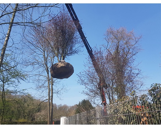 Eigentümer Bilder Leffers Garten- und Landschaftsbau Carl Leffers Dötlingen