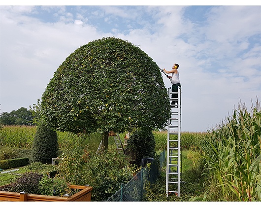 Eigentümer Bilder Leffers Garten- und Landschaftsbau Carl Leffers Dötlingen