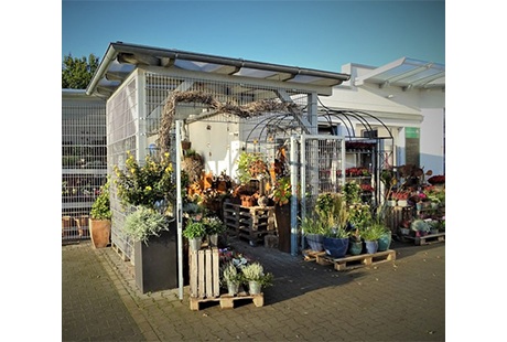 Bildergallerie BLUMEN - ATELIER Inh. M. Oltmanns Jade