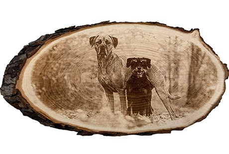 Eigentümer Bilder Laserart Kevin Langer Lübbecke