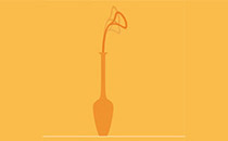 Logo Lilie-Weiß Miriam Dr. med. Münster