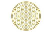 Logo Börger Sharema Dr.med. Ärztin für Allgemeinmedizin und Homöopathie Troisdorf